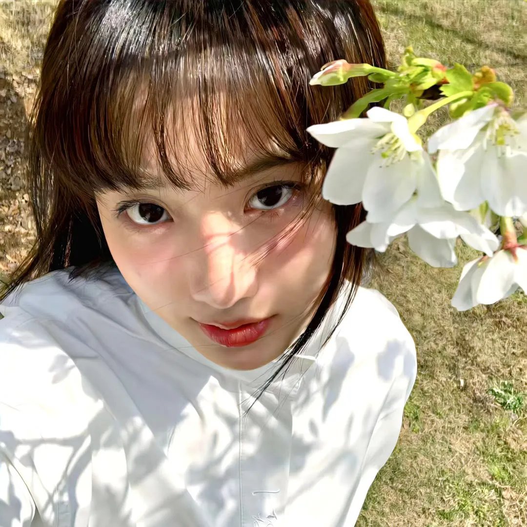 雪中真相